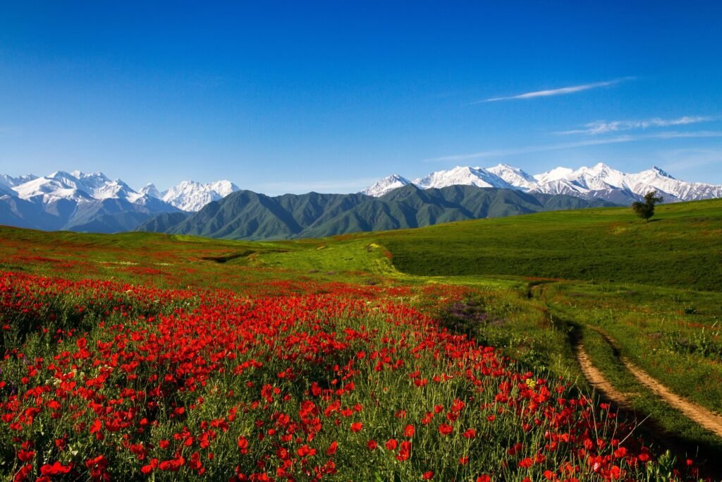 Bishkek Day Tours